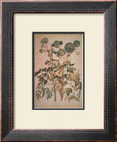 Angelica Arcangelica Print by Jacopo Ligozzi