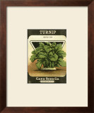 Turnip Posters