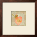 Hellebore II Prints by Philippe Paput
