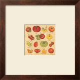 Tomatoes Art by Stephanie Marrott