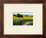 Field of Sunflowers Print by Gerhard Nesvadba