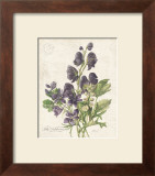 July Delphinium Posters by Katie Pertiet