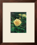 Blooming Cereus with Full Moon Posters by Ted Mundorff