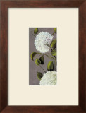 Hortensia Ideal I Posters by Ximena 