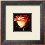 Rose I Poster by Linda Mcvay