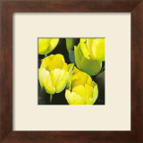 Tulipanes Amarillos Art by Siena 