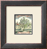 Rosemary Prints by Johann Theodore de Bry