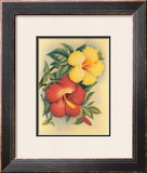 Hawaiian Hibiscus Prints by Eve Hawaii