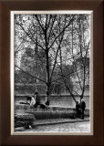 Quai d'Orlean Face a Notre Dame, c.1970 Posters by Izis 