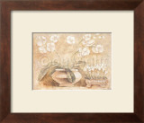 White Orchid Prints by Tara King