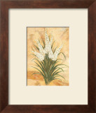 White Surprise Art by Amelie Parker