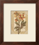 Helleborus Print by Vivien White
