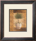 Topiary I Prints by Vivian Flasch