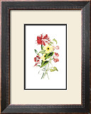 Flowers Posters by Louise Anne Twarmley