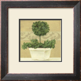 Green Plant in White Pot Art by Cuca Garcia