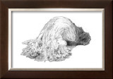 Abstract Creature with Black Grain Prints by Ryuichirou Motomura