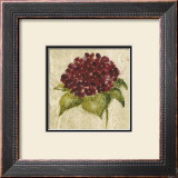Maroon Flower Prints by Julio Sierra