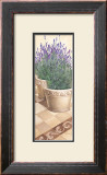 Lavanda in Fiore Poster by Franz Heigl