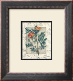 Calendula Art by Julie Nightingale