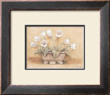 White Tulips Prints by Tara King