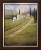 Tuscany Vineyard Posters by Hawley 