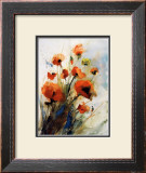 Mohn Prints by J. Hammerle