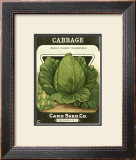 Cabbage Prints