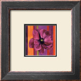 Un Amour d'Anemone Prints by Anne Frémin Besombes