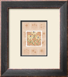 Black-Eyed Susans Prints by Wilma Sanchez