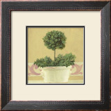 Green Plant in White Pot Posters by Cuca Garcia
