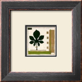 Fig Leaf Fandango Poster by Lucie Chis