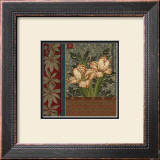 Pappagallo II Prints by Linda Blake