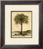 Palm Paradise II Posters by Dianne Krumel