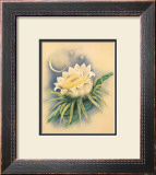 Night Blooming Cereus Print by Ted Mundorff