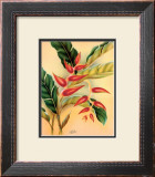 Heliconia Art by Hale Pua Studio 