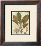 Fitch Leaves IV Art by Walter H. Fitch