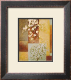 Apple Blossoms Prints by Xavier 