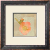 Hellebore II Poster by Philippe Paput