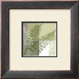Abstract Fern Posters by Hanna Vedder