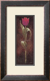Mystic Tulip Dark Red Posters by Karsten Kirchner