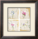 Nature's Gift II Posters por Antonietta Vernice