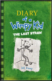 Wimpy Kid - the Last Straw Photo