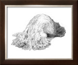 Abstract Creature with Black Grain Prints by Ryuichirou Motomura