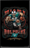 Miami Dolphins Posters