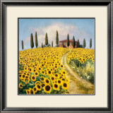 Sunflowers I Prints by Barbara Carter