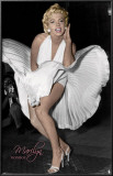 Marilyn Monroe Prints