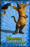 Shrek 3 Posters