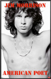 The Doors Posters