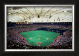Metrodome, Minneapolis Prints by Ira Rosen