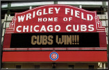 Cubs Win! Photo